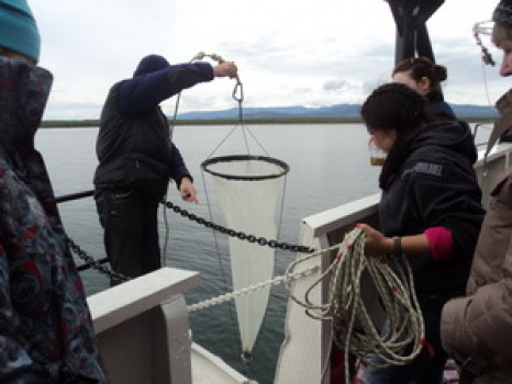 отбор проб сетью Джеди_resize